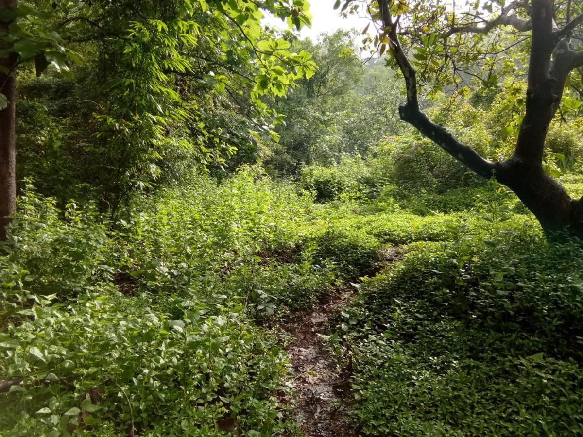 The Enchanting Nest Borim 외부 사진